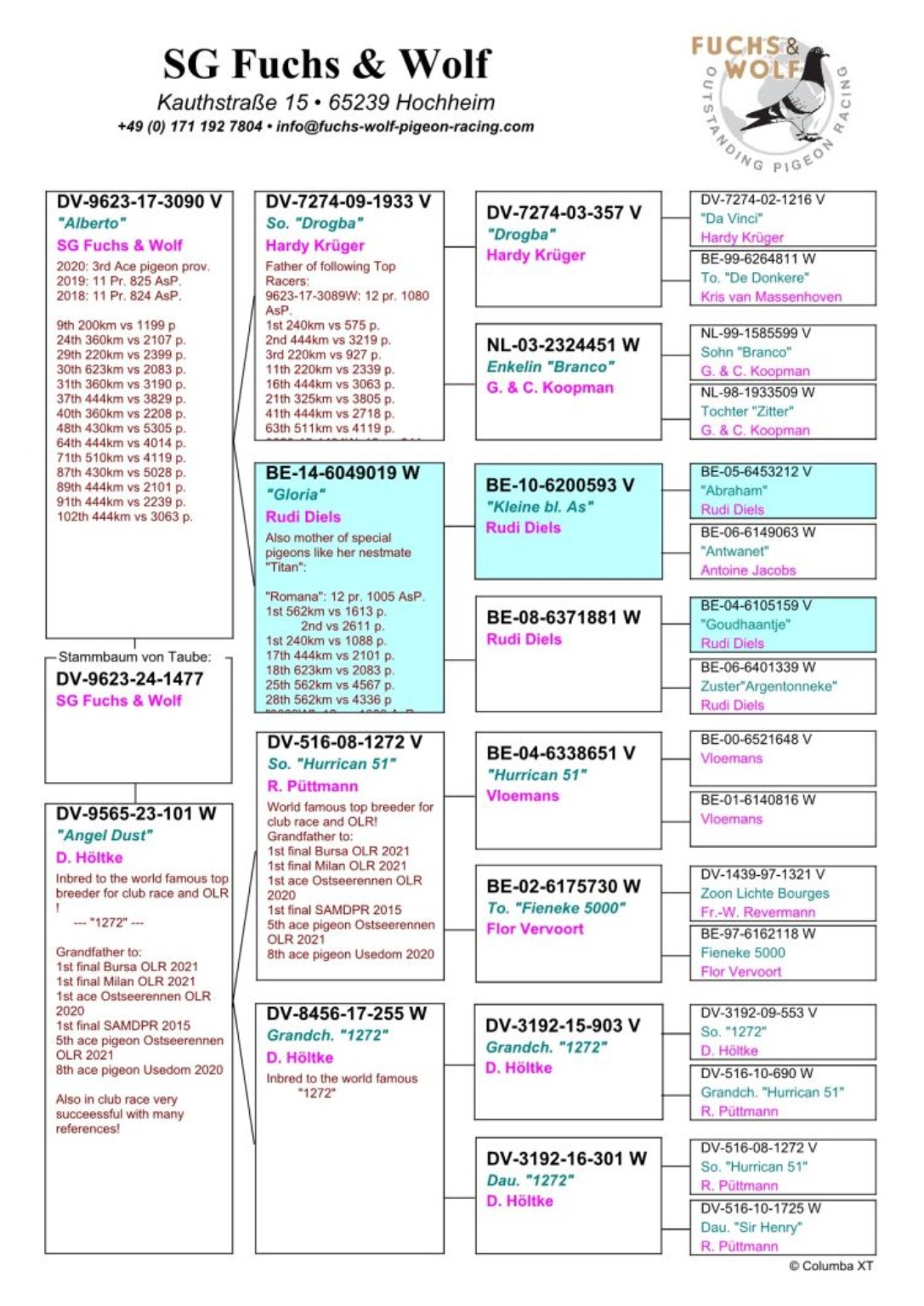 Full pedigree for DV 9623-24-1477