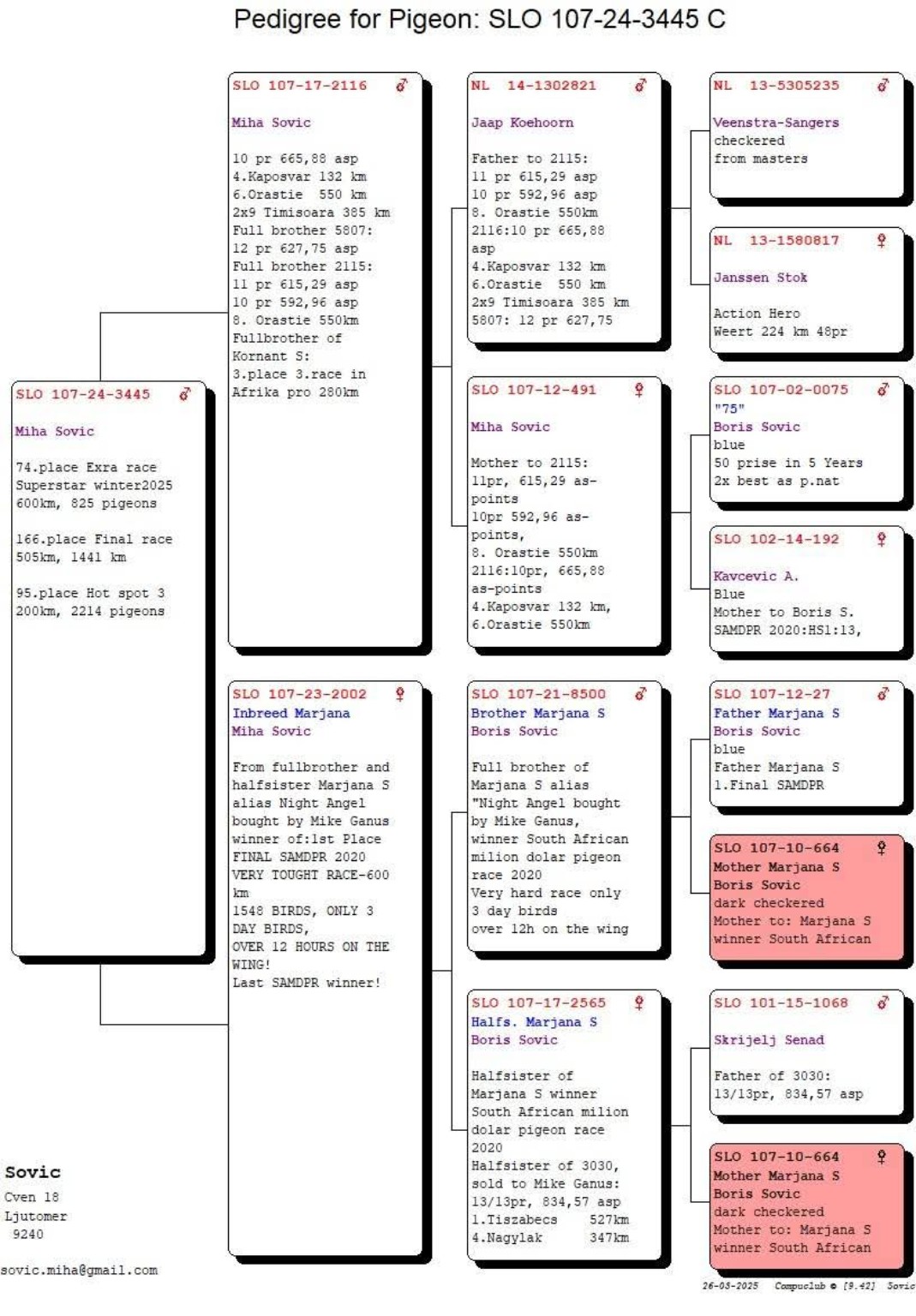 Full pedigree for SLO 107-24-3445